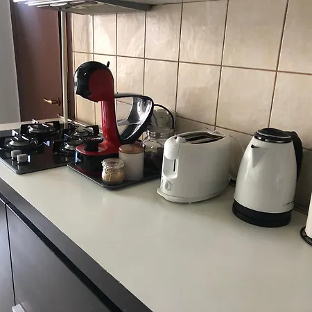 公寓 Family Retreat Politehnica Park 布加勒斯特