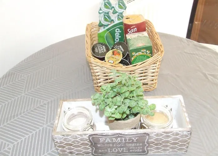 Family Retreat Politehnica Park